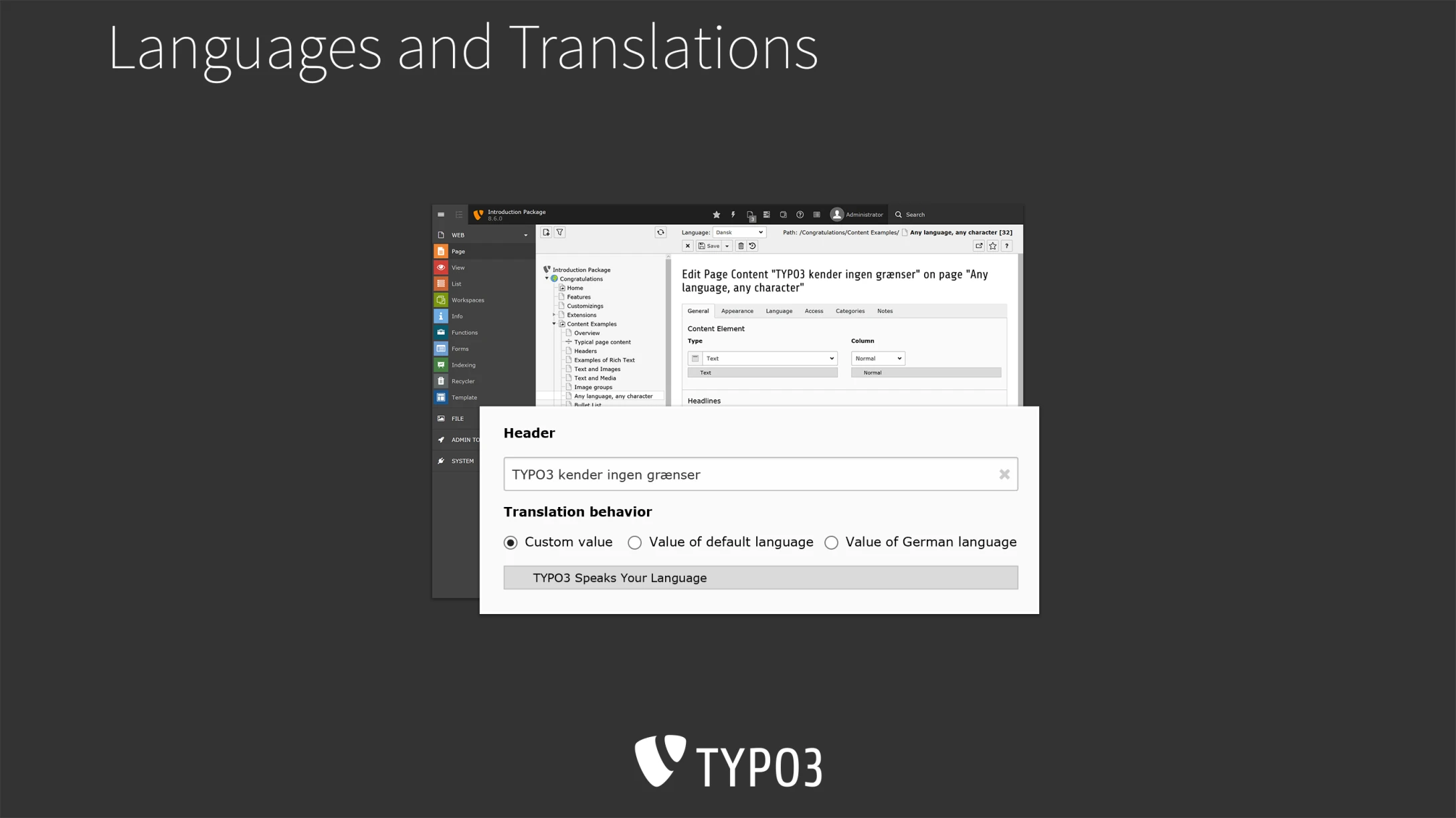 Screenshot of TYPO3 8 LTS backend, multilingualism