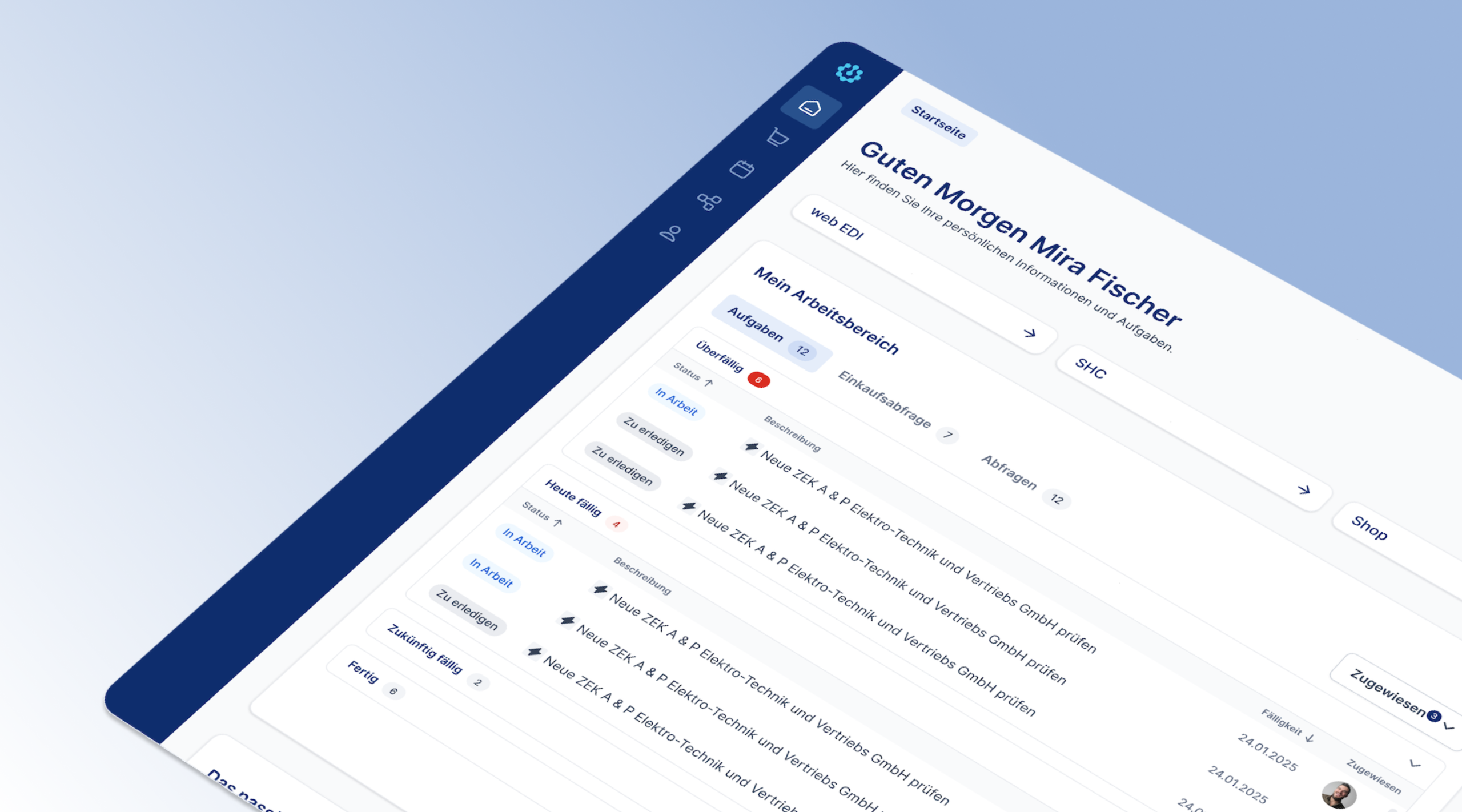 FEGIME Deutschland Case Study