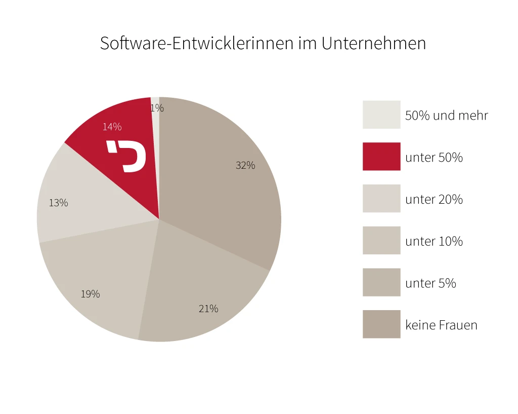Female software developers in companies