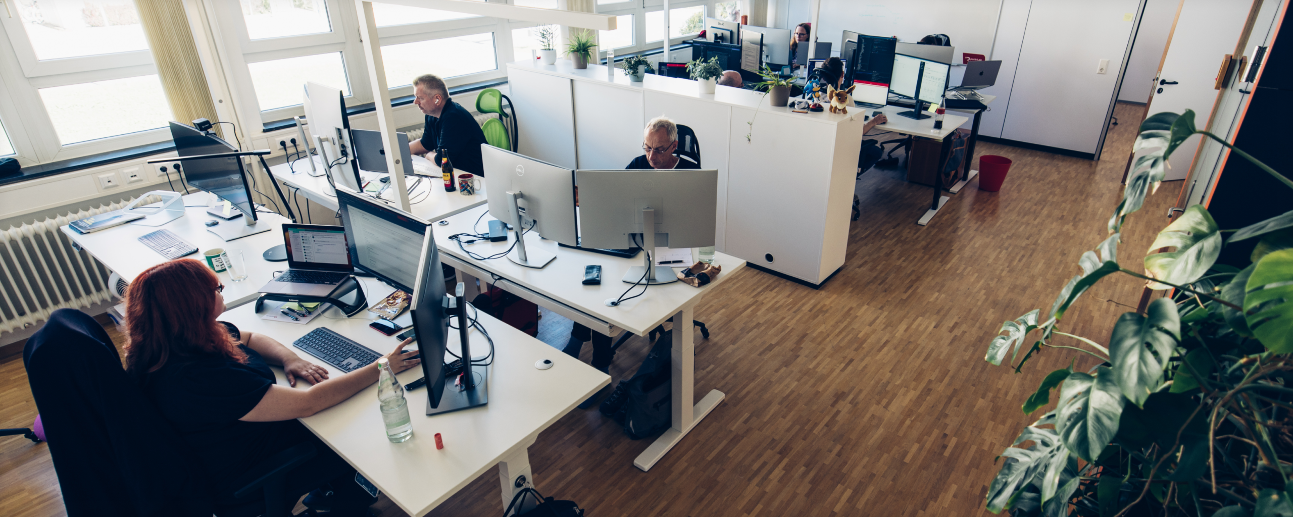 Arbeiten bei der punkt.de – Einstieg und die ersten Monate